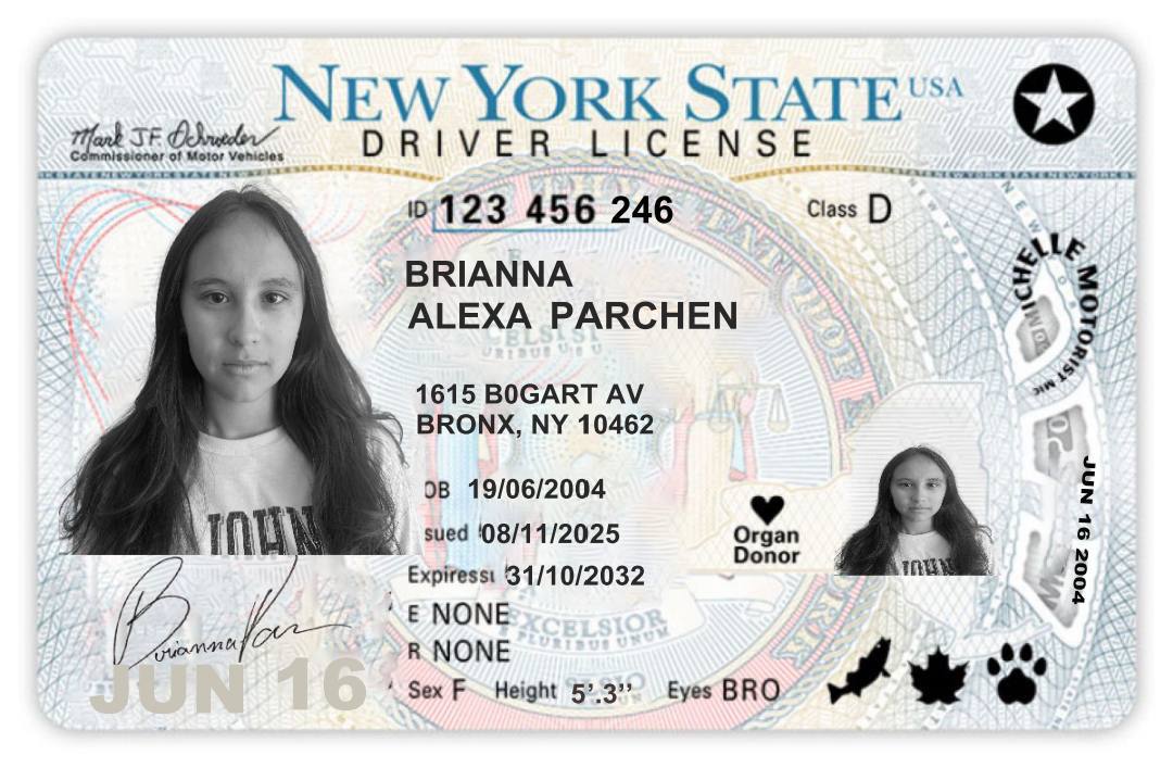 New York State Driver's License