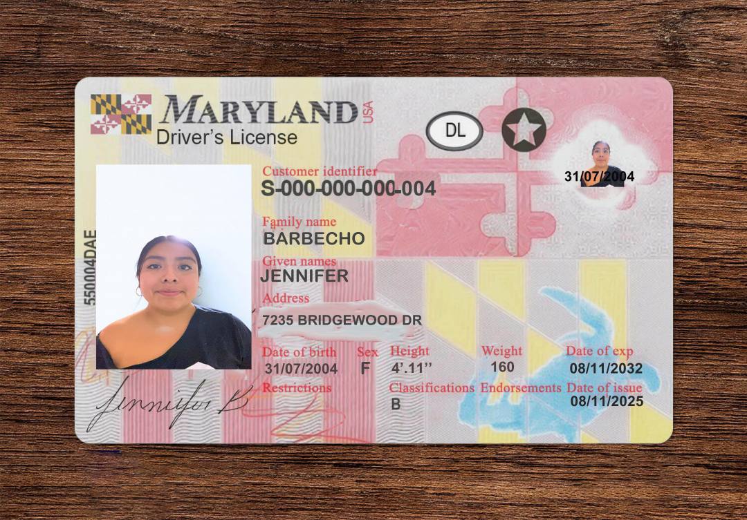 Maryland Fake Driver's License